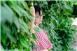公与两个熄韩国